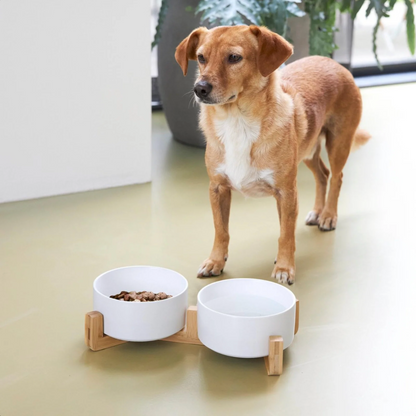 Ceramic Pet Feeding Bowl Set - 2 Pack